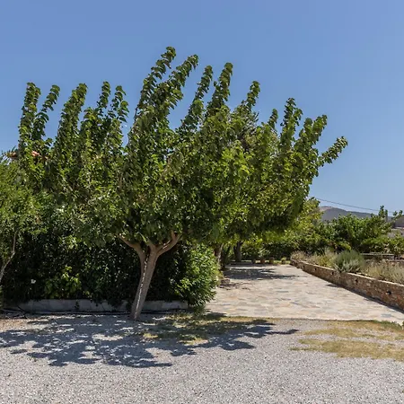 Stone Wood House Holiday home Perivolia (Evia)